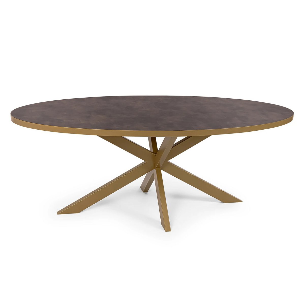 Stalux Oval dining table 'Mees' 210 x 100cm, color gold / brown leather look