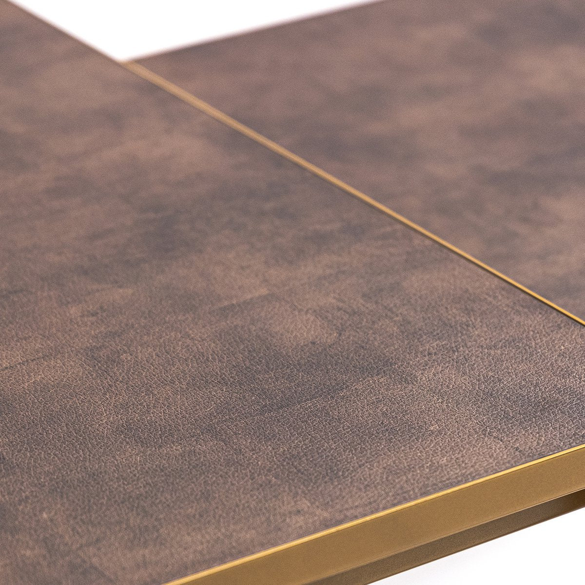 Stalux Coffee table set 'Lisa' 65 and 50cm, color gold / brown leather look