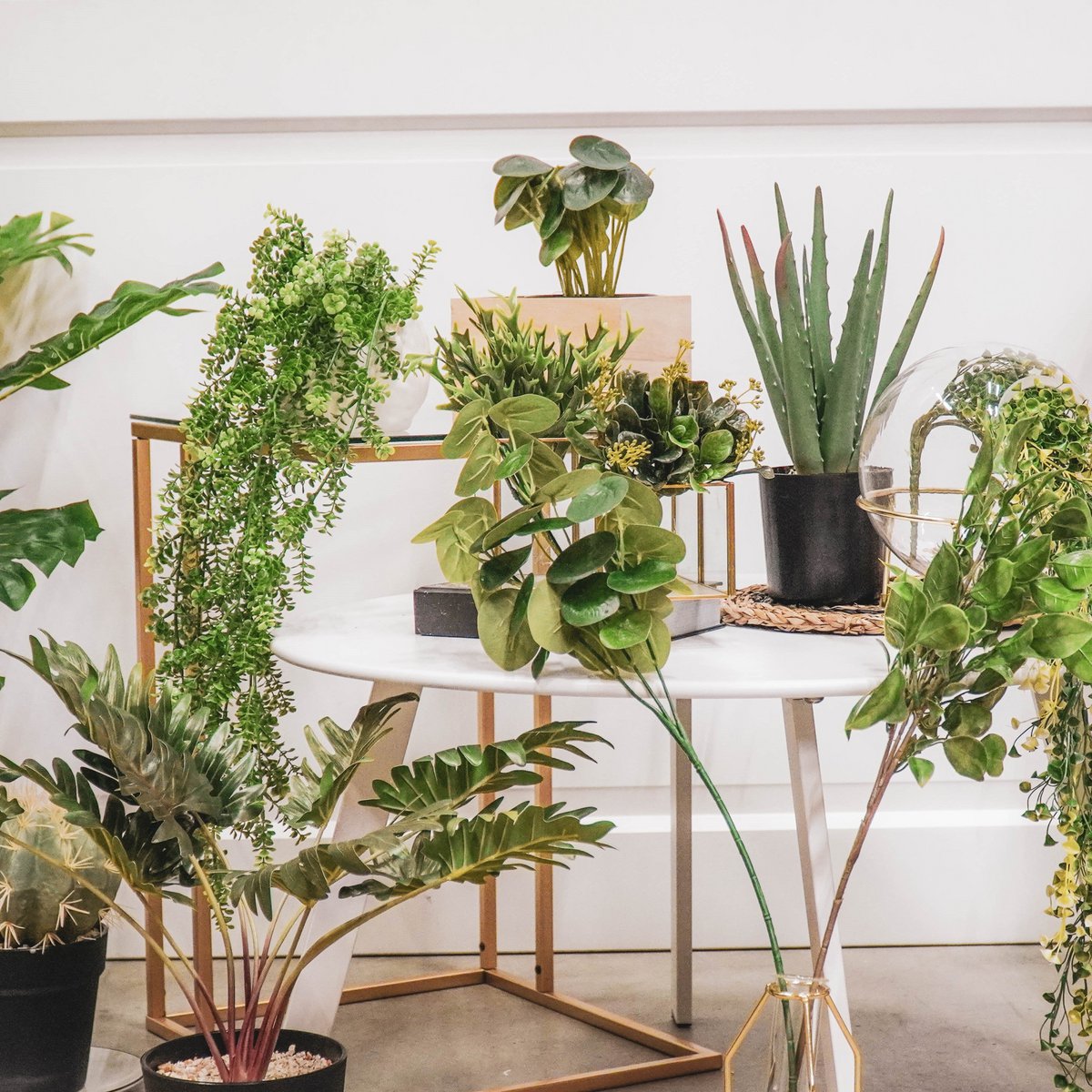 HV Plant Long Bush - Eucalyptus - 10x16x65cm