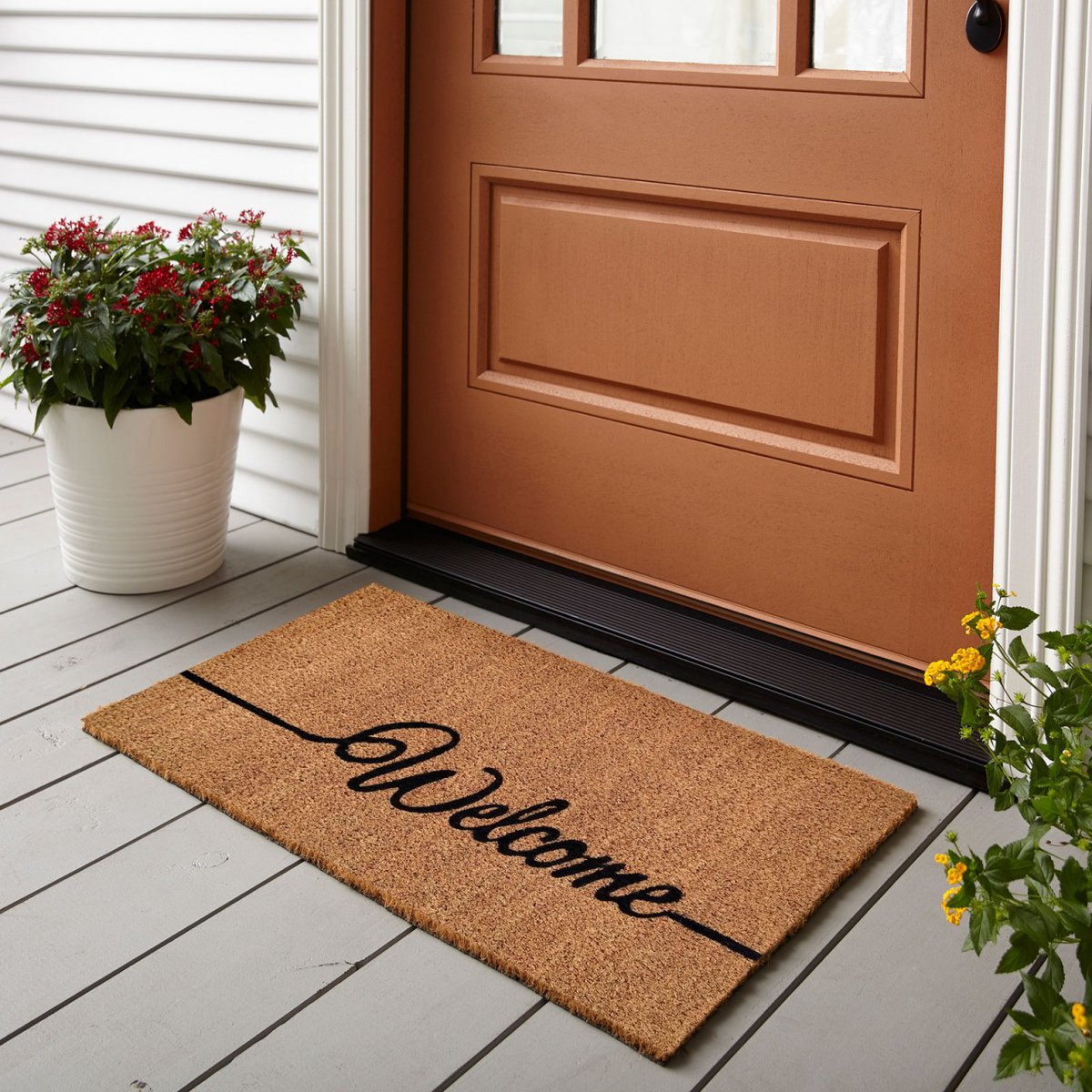 Coconut mat set of 10 60 x 40 cm motif doormat doormat doormat dirt trapping mat front door