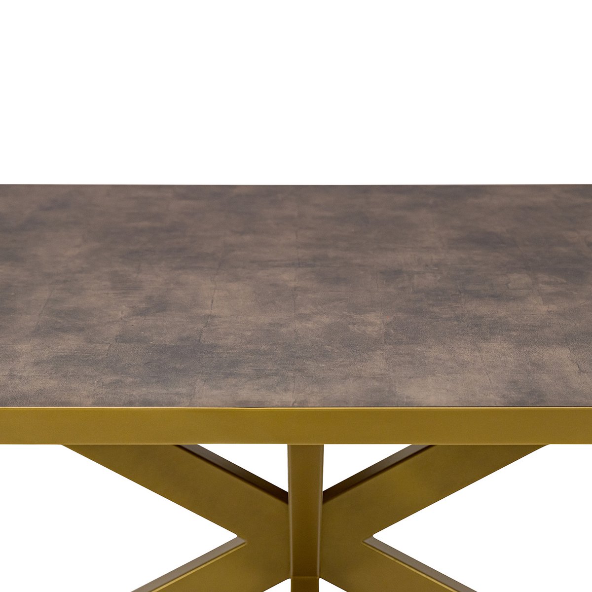 Stalux Flat oval dining table 'Noud' 210 x 100, color gold / brown leather look