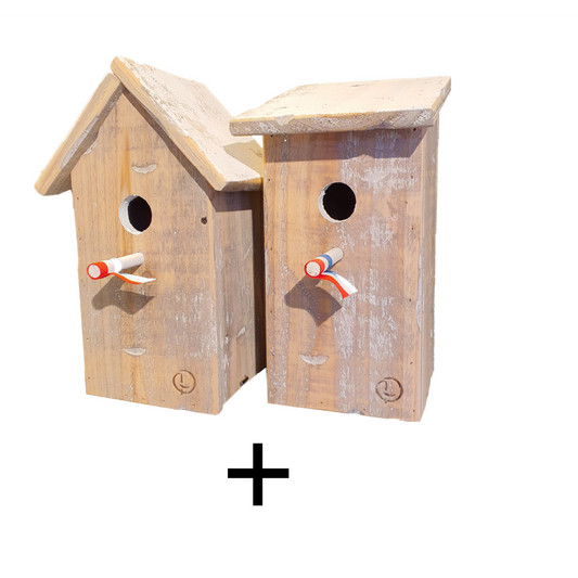 2 bird houses with a pointed roof and a sloping roof